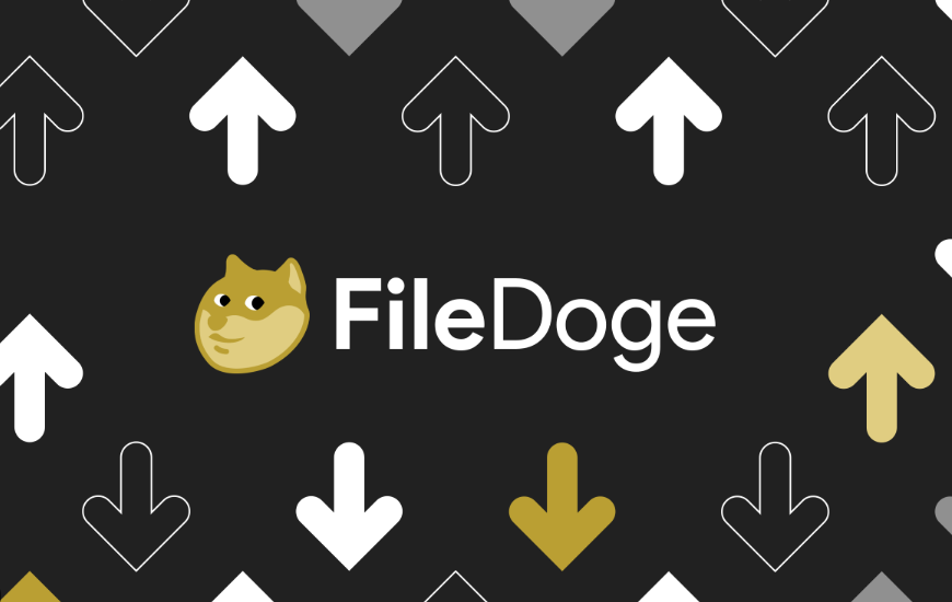 免费无广告！File Doge 文件分享工具实测：快速传文件不用等，还支持 API 接口，替代繁琐分享方式